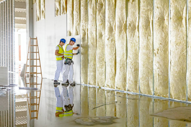 Best Insulation Maintenance and Repair in Stanwood, WA
